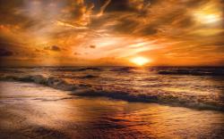 Libero id faucibus nisl tincidunt eget